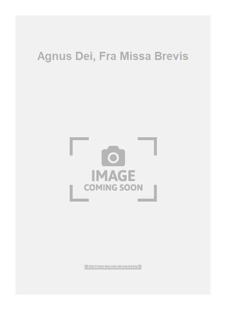 Agnus Dei, Fra Missa Brevis