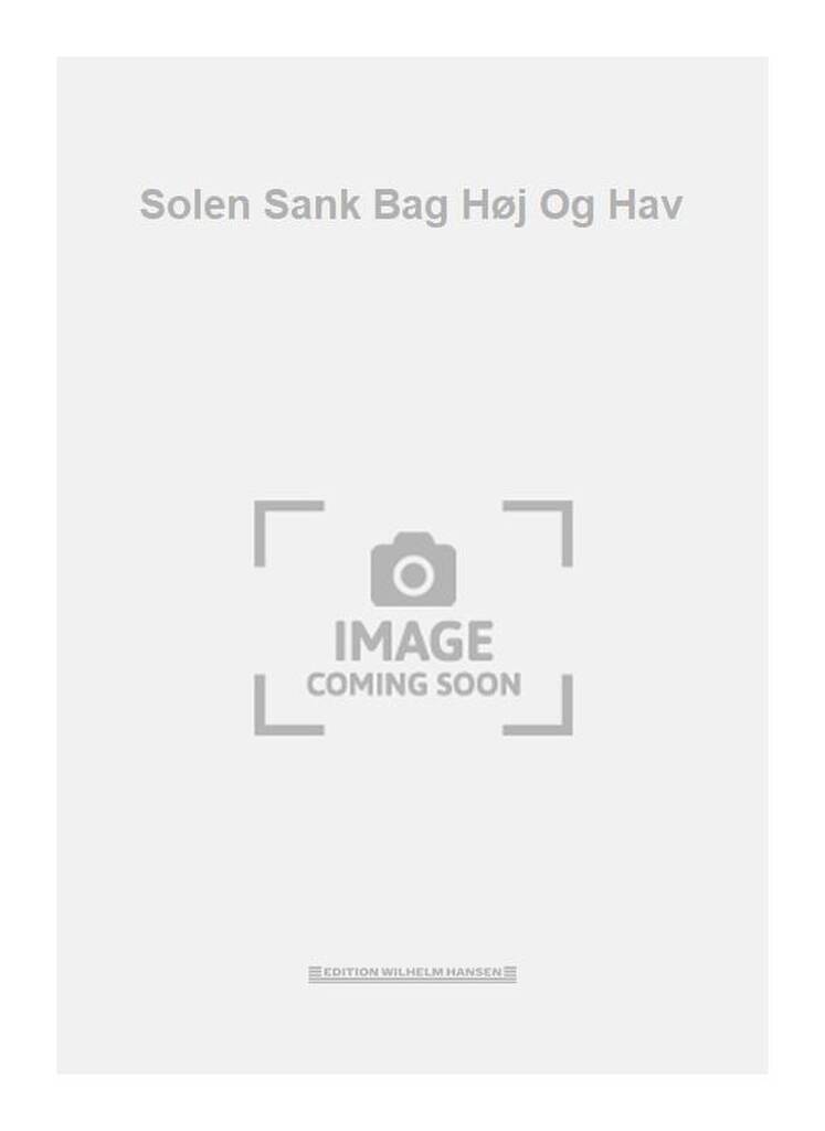 Solen Sank Bag Høj Og Hav