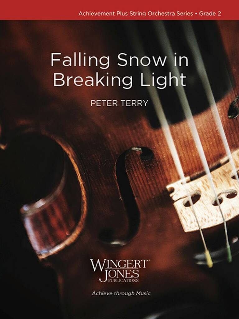 Falling Snow in Breaking Light