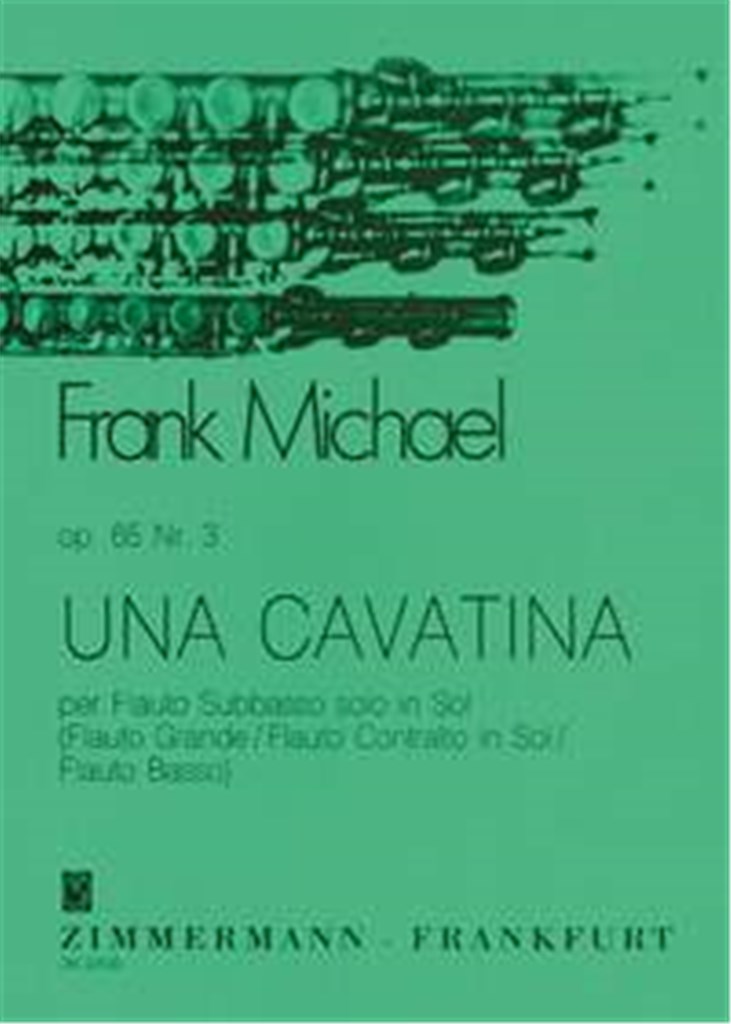 Una Cavatina op. 65/3